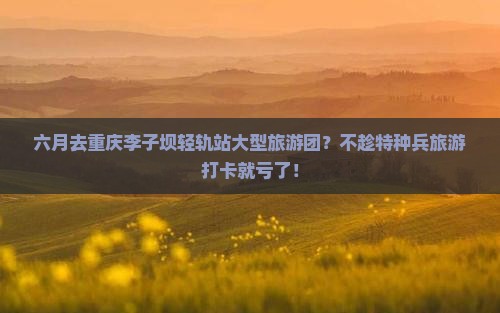 六月去重庆李子坝轻轨站大型旅游团？不趁特种兵旅游打卡就亏了！