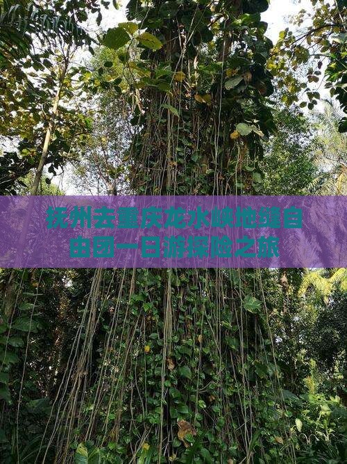 抚州去重庆龙水峡地缝自由团一日游探险之旅