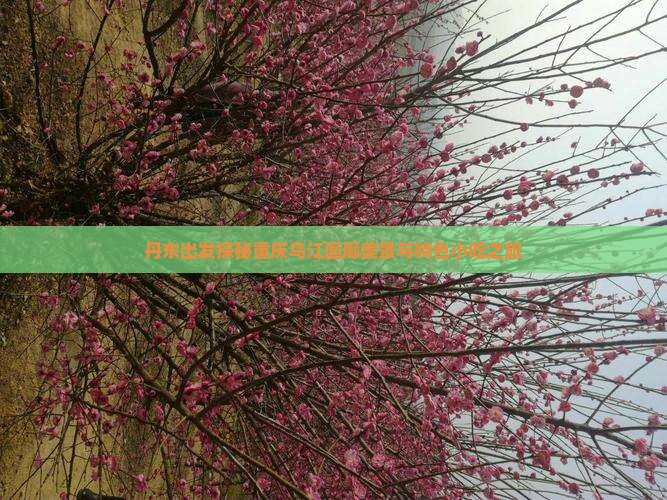 丹东出发探秘重庆乌江画廊美景与特色小吃之旅