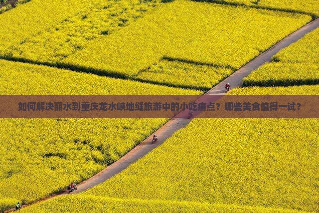 如何解决丽水到重庆龙水峡地缝旅游中的小吃痛点？哪些美食值得一试？
