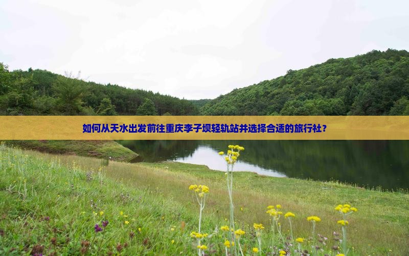 如何从天水出发前往重庆李子坝轻轨站并选择合适的旅行社？