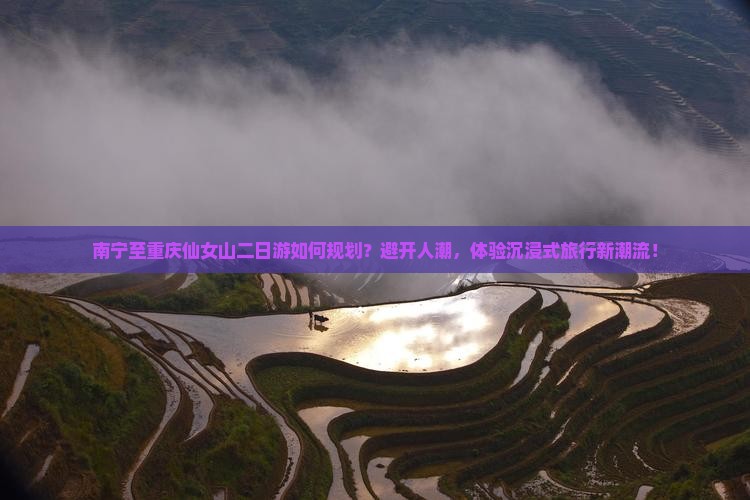 南宁至重庆仙女山二日游如何规划？避开人潮，体验沉浸式旅行新潮流！