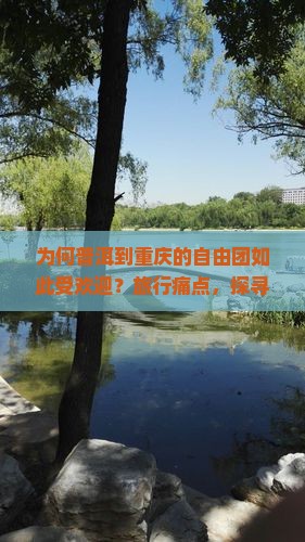 为何普洱到重庆的自由团如此受欢迎？旅行痛点，探寻新潮流玩法！