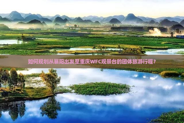 如何规划从襄阳出发至重庆WFC观景台的团体旅游行程？