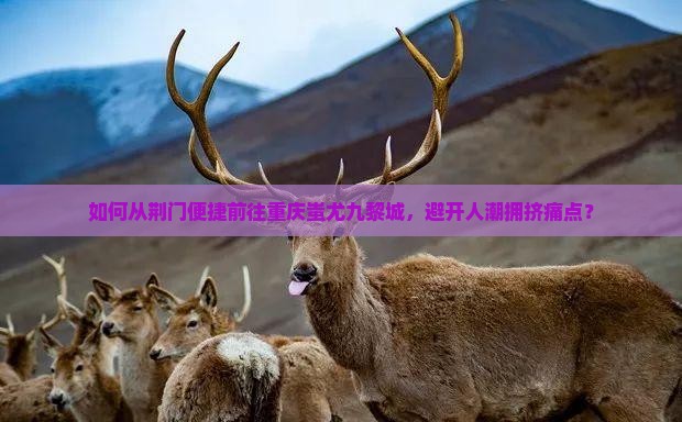 如何从荆门便捷前往重庆蚩尤九黎城，避开人潮拥挤痛点？