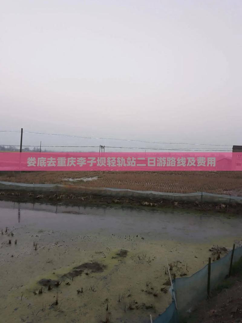 娄底去重庆李子坝轻轨站二日游路线及费用