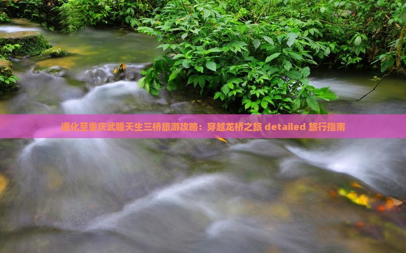通化至重庆武隆天生三桥旅游攻略：穿越龙桥之旅 detailed 旅行指南