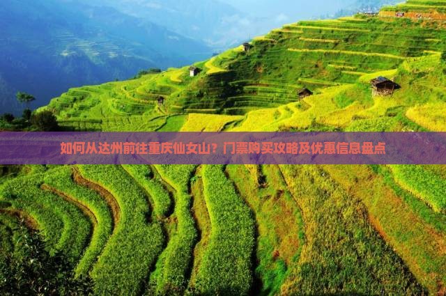 如何从达州前往重庆仙女山？门票购买攻略及优惠信息盘点