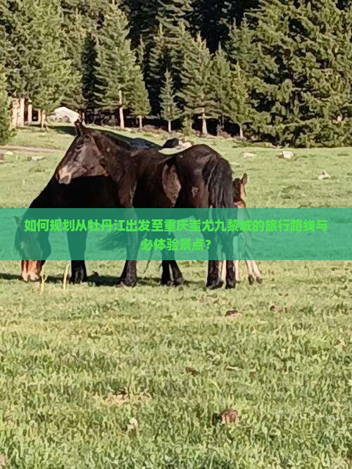 如何规划从牡丹江出发至重庆蚩尤九黎城的旅行路线与必体验景点？
