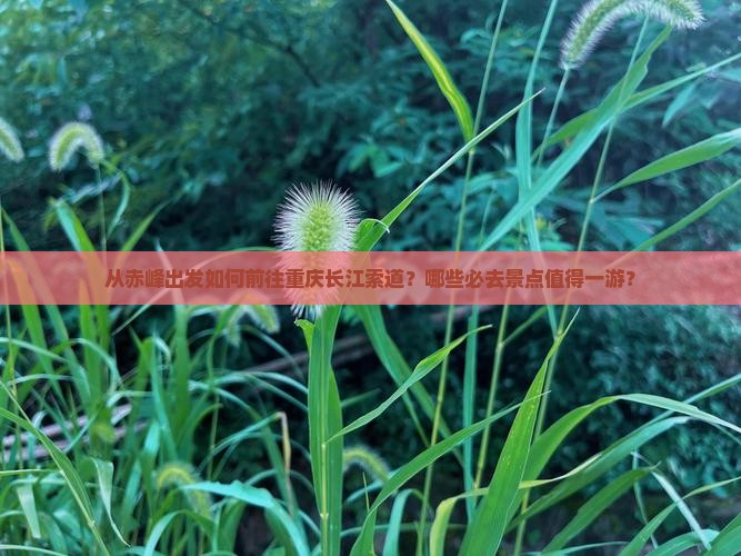 从赤峰出发如何前往重庆长江索道？哪些必去景点值得一游？