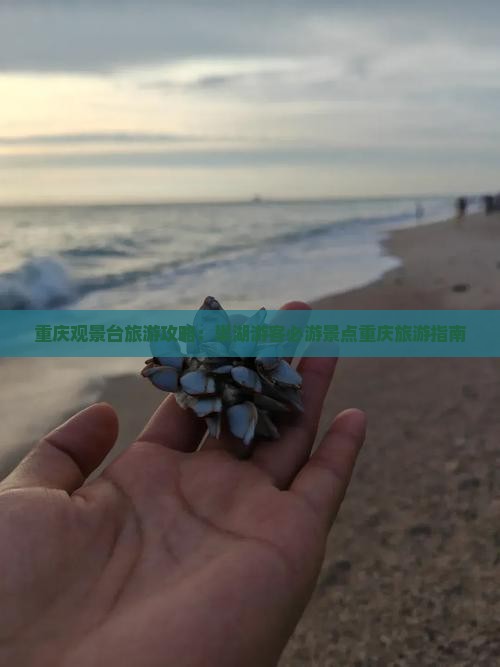 重庆观景台旅游攻略：巢湖游客必游景点重庆旅游指南