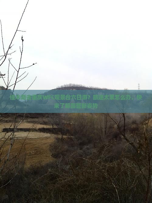 佳木斯去重庆WFC观景台六日游？旅途太累怎么办，快来了解露营新姿势