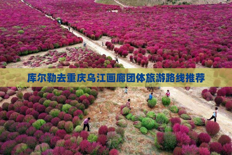 库尔勒去重庆乌江画廊团体旅游路线推荐
