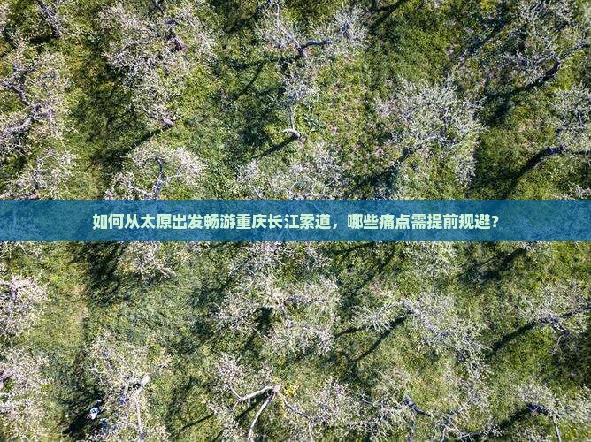如何从太原出发畅游重庆长江索道，哪些痛点需提前规避？