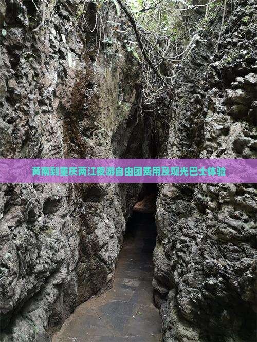 黄南到重庆两江夜游自由团费用及观光巴士体验