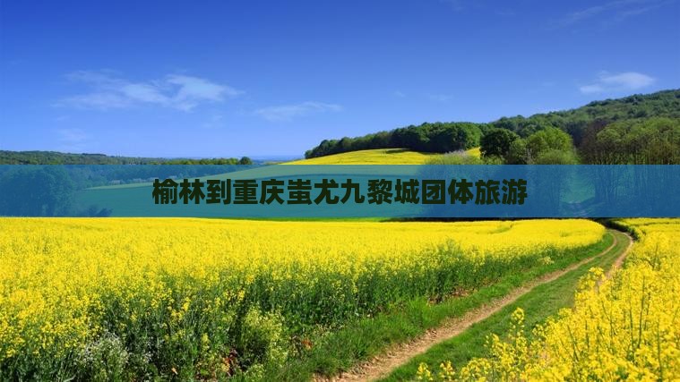 榆林到重庆蚩尤九黎城团体旅游