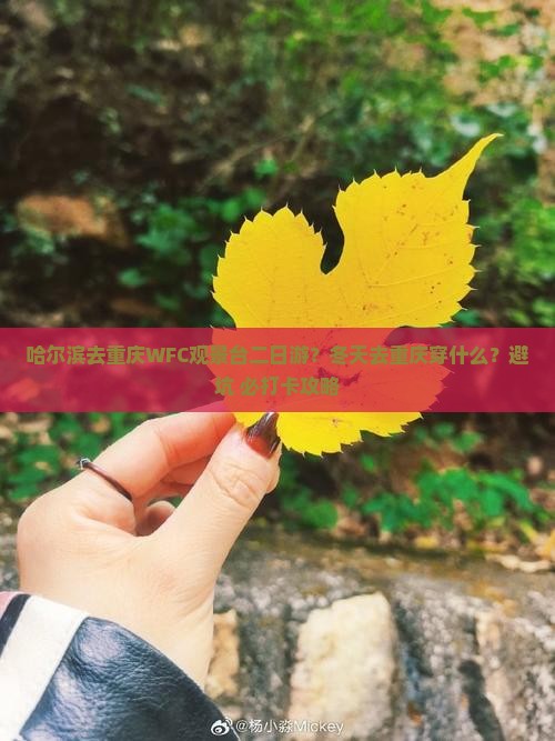 哈尔滨去重庆WFC观景台二日游？冬天去重庆穿什么？避坑+必打卡攻略