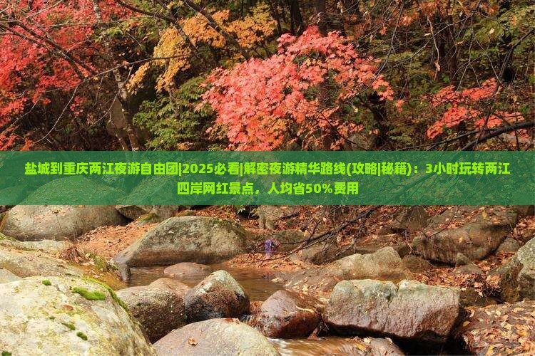 盐城到重庆两江夜游自由团