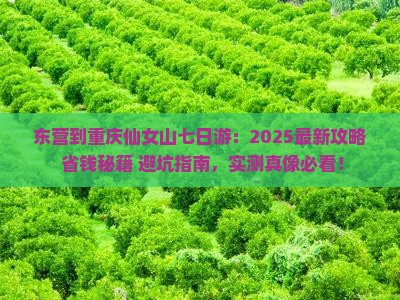 东营到重庆仙女山七日游