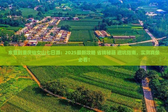 东营到重庆仙女山七日游