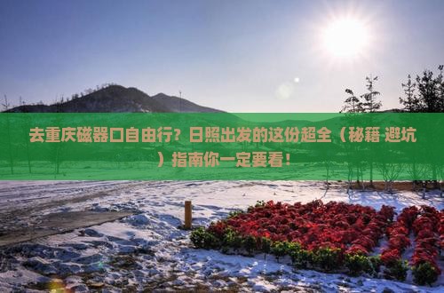 日照去重庆磁器口自由团