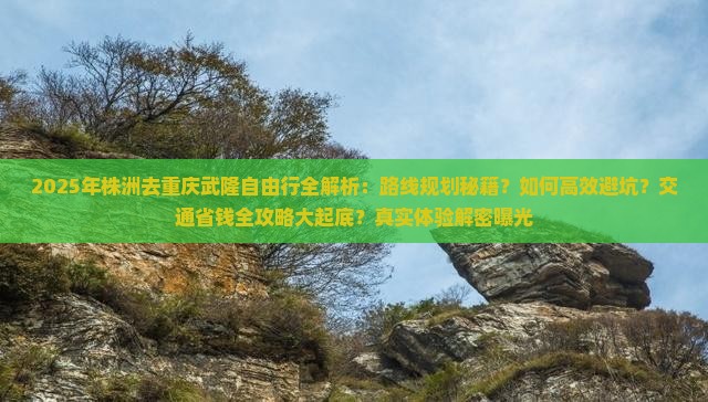 株洲去重庆武隆自由行
