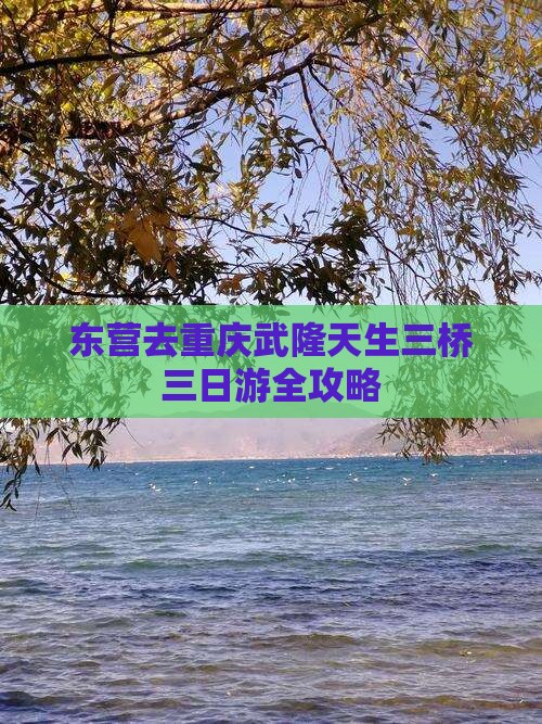 东营去重庆武隆天生三桥三日游
