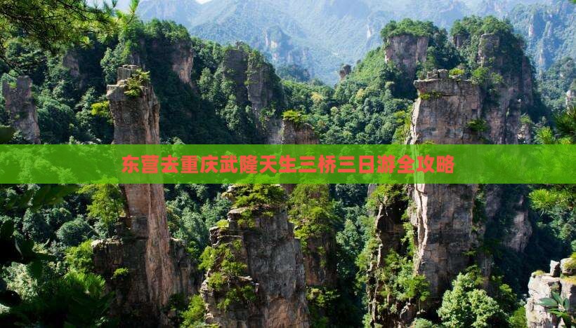 东营去重庆武隆天生三桥三日游