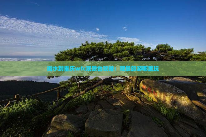 衡水到重庆wfc观景台哪里玩