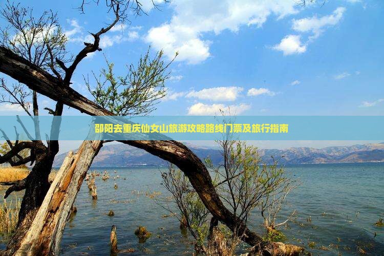 邵阳去重庆仙女山旅游