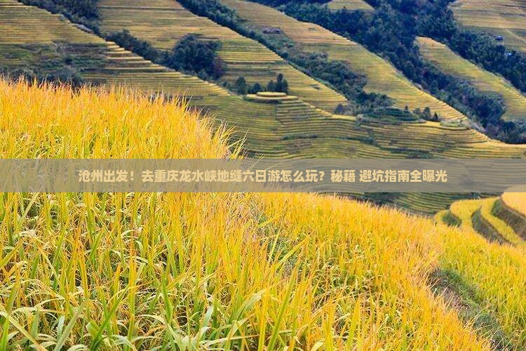 沧州去重庆龙水峡地缝六日游