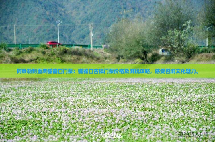 阿泰勒到重庆磁器口门票