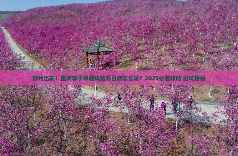 锦州到重庆李子坝轻轨站五日游
