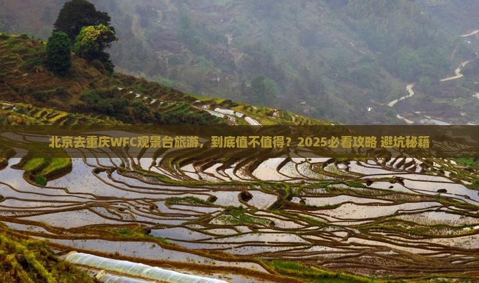 北京去重庆wfc观景台旅游