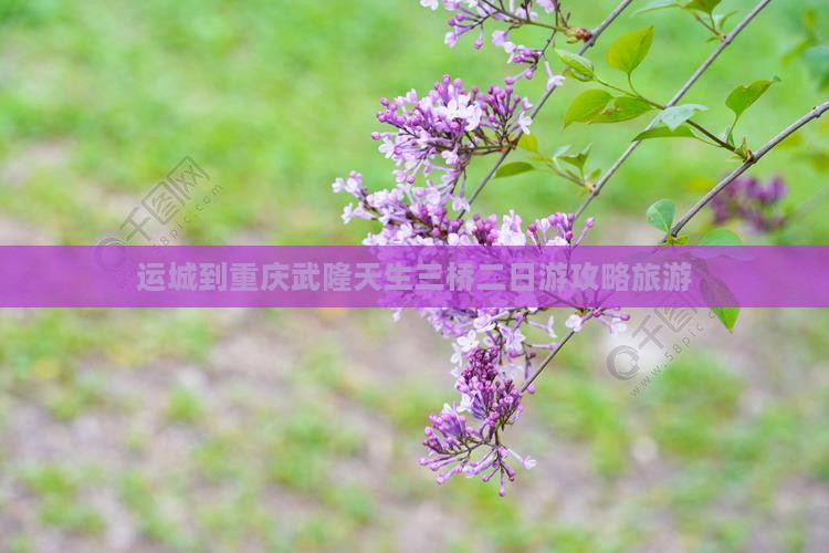 运城到重庆武隆天生三桥二日游