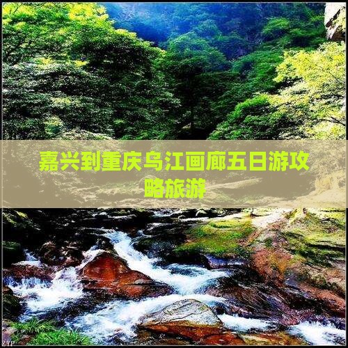 嘉兴到重庆乌江画廊五日游