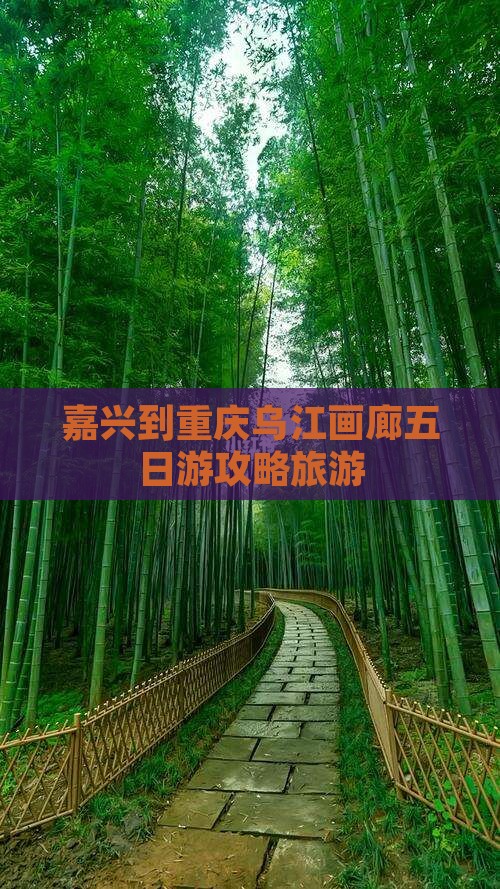 嘉兴到重庆乌江画廊五日游
