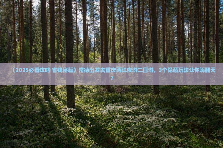 常德去重庆两江夜游二日游