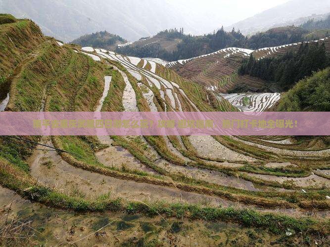 南平去重庆武隆四日游