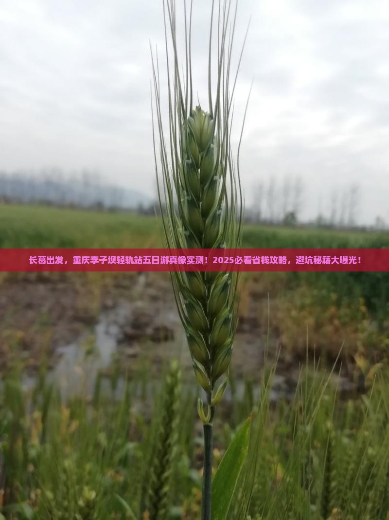 长葛去重庆李子坝轻轨站五日游