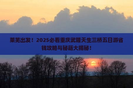 莱芜到重庆武隆天生三桥五日游