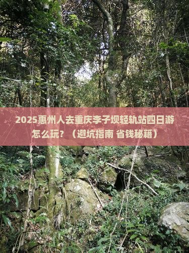 惠州去重庆李子坝轻轨站四日游
