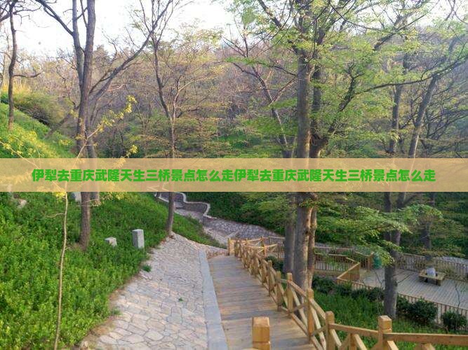 伊犁去重庆武隆天生三桥景点