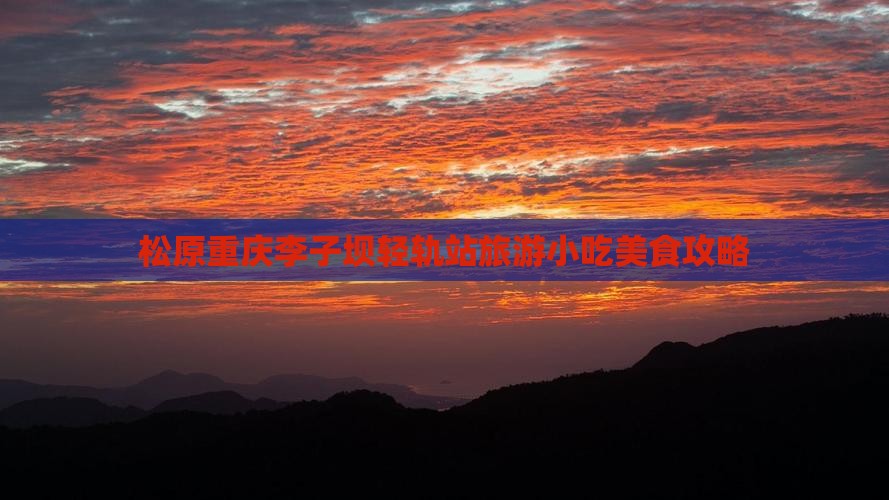 松原去重庆李子坝轻轨站旅游小吃