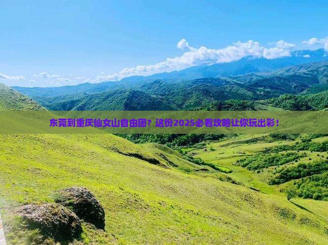东莞到重庆仙女山自由团