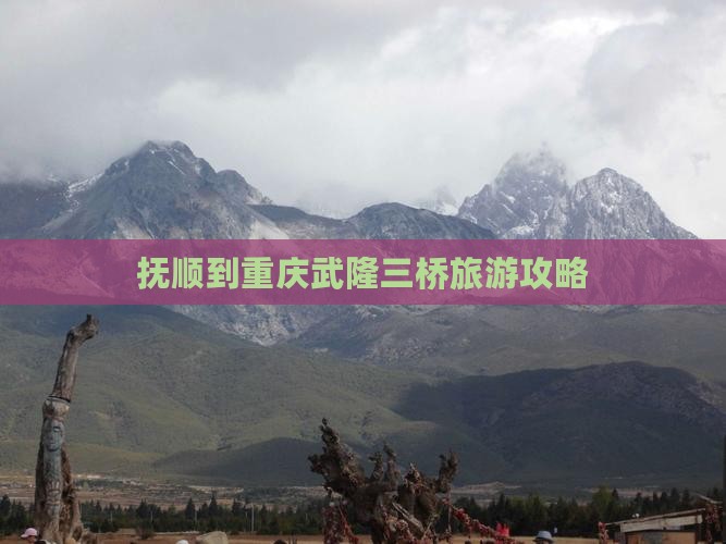 抚顺到重庆武隆攻略