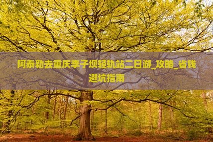 阿泰勒去重庆李子坝轻轨站二日游