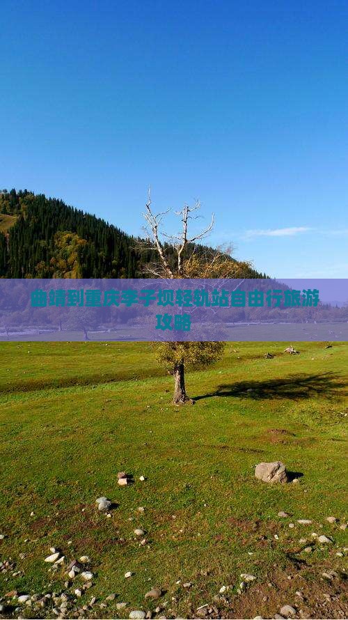 曲靖到重庆李子坝轻轨站自由行