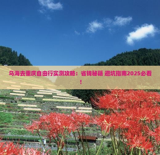 乌海去重庆自由行