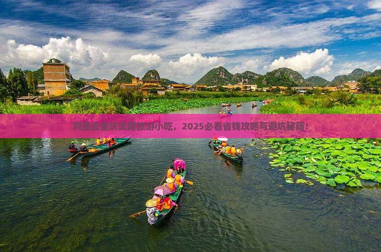 阿里去重庆武隆旅游小吃